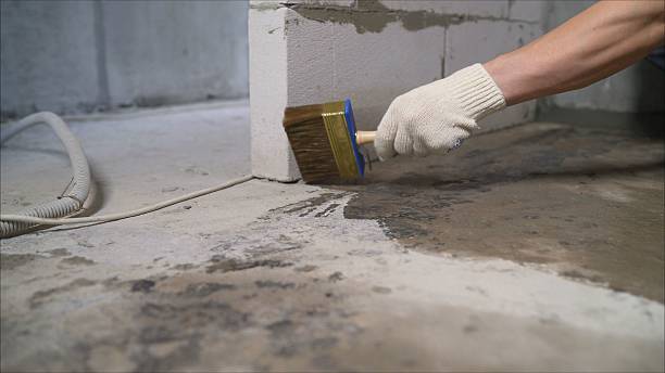 Top rated local Waterproofing specialists in Clinton, TN